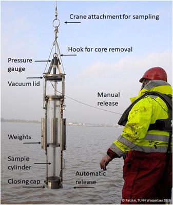 Spatial and Temporal Variability of Bed Exchange Characteristics of Fine Sediments From the Weser Estuary